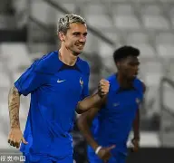 乐动体育-意甲比赛回放